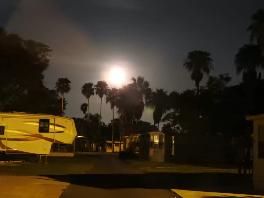 Posada Del Sol - Mobile Home & RV Park - 55+ (14)