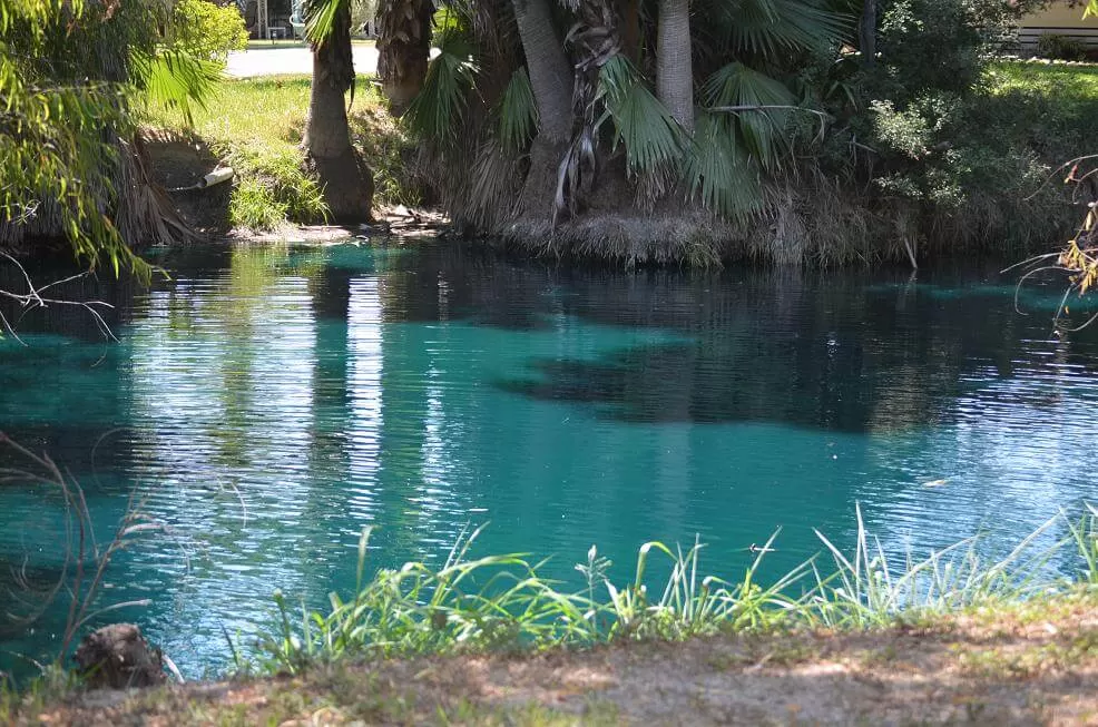 Posada Del Sol - Mobile Home & RV Park - 55+ (19)