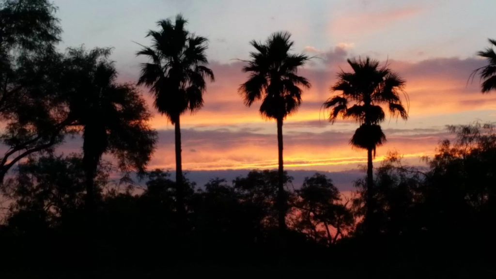 Posada Del Sol - Mobile Home & RV Park - 55+ (20)