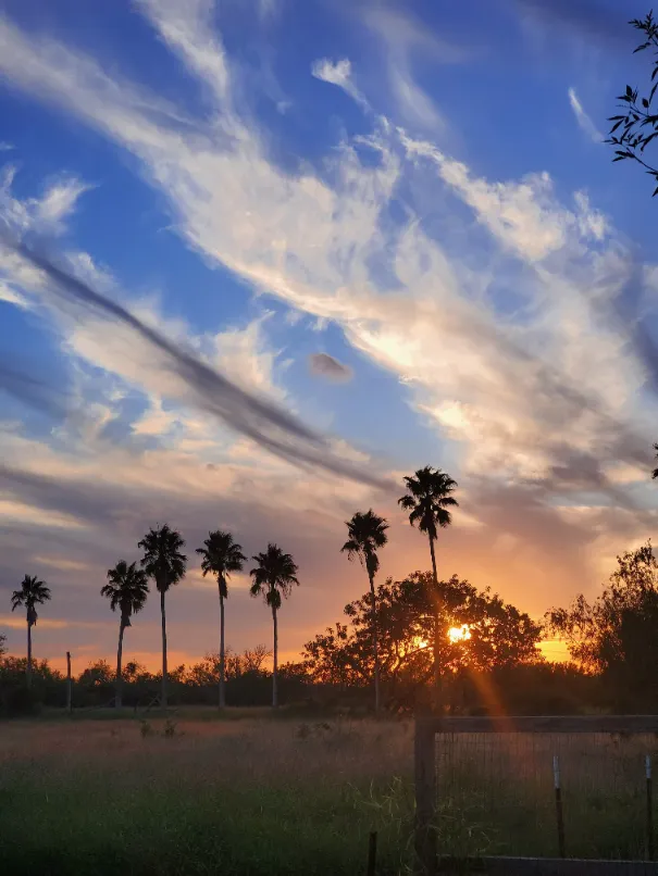 Posada Del Sol - Mobile Home & RV Park - 55+ (4)